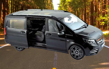 Visit Mt. Buller with day trip packages for adventure and relaxation.